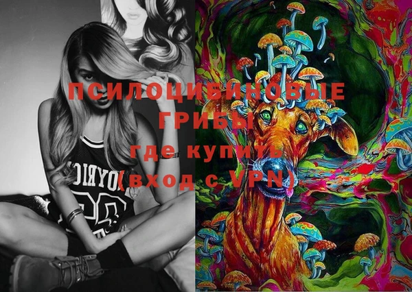а пвп мука Кукмор