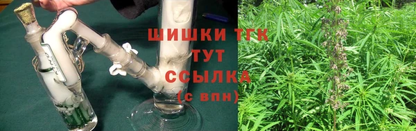шишки Куйбышев