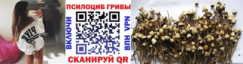 Галлюциногенные грибы MAGIC MUSHROOMS Мелеуз